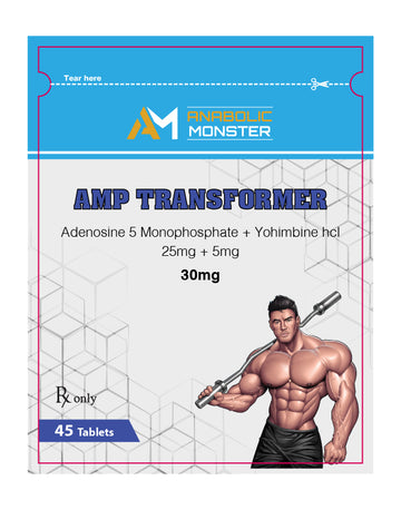 AM AMP TRANSFORMER