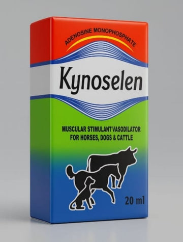 kynoselen amp 20 ml